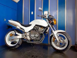 HORNET250
